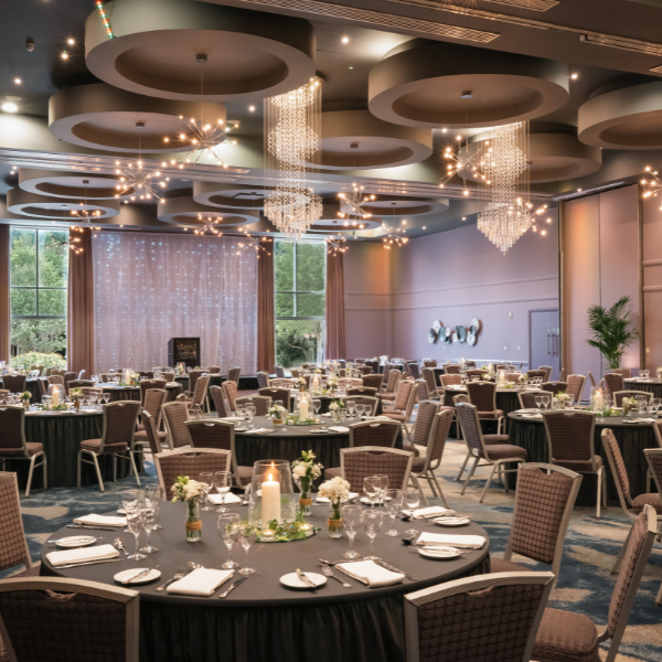 Greenwich Suite  x px www.carlton.ie
